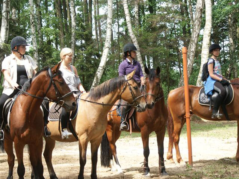 Rajdy konne Opole Rajdy konne Opole