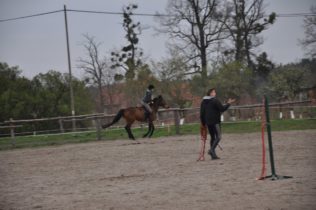 Treningi ujeżdżeniowe