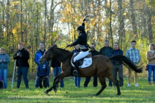 Treningi ujeżdżeniowe