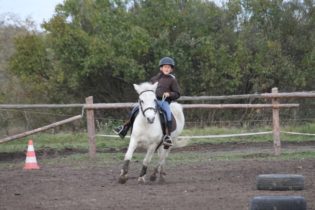 Treningi ujeżdżeniowe