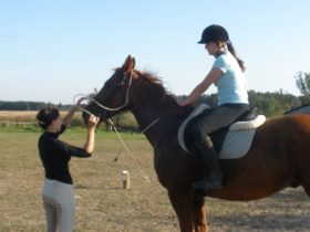 Treningi ujeżdżeniowe