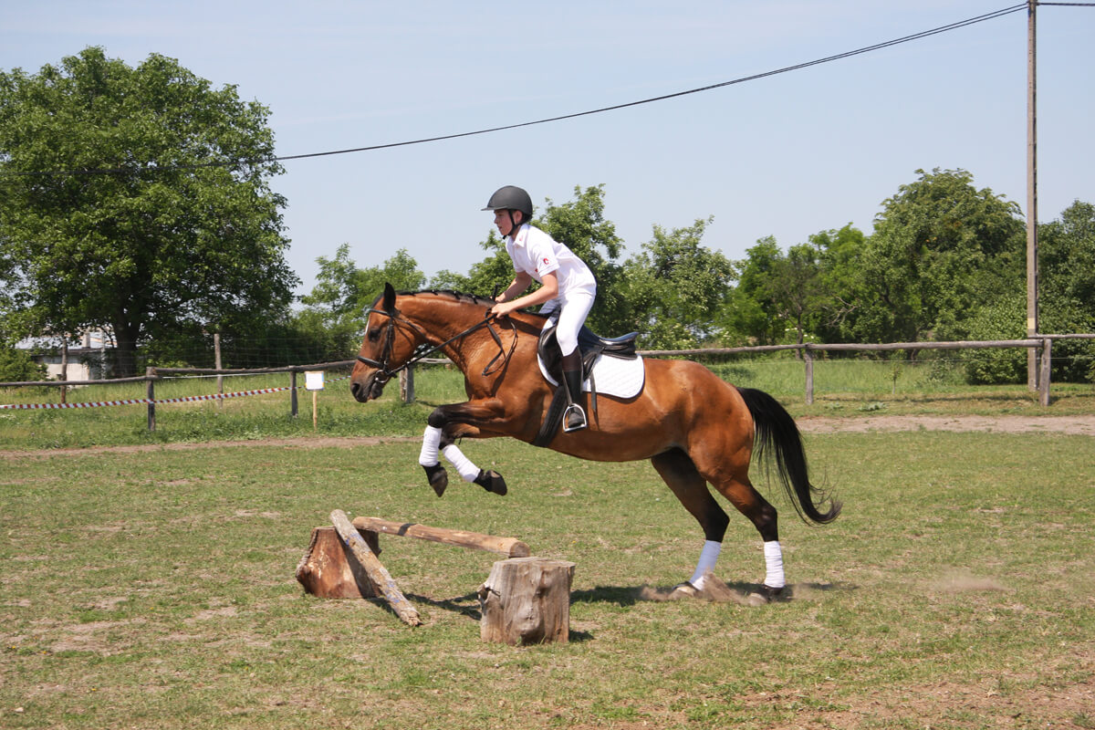 Stajnia Opole (woj. Opolskie) - nauka jazdy konnej dla dzieci i dorosłych